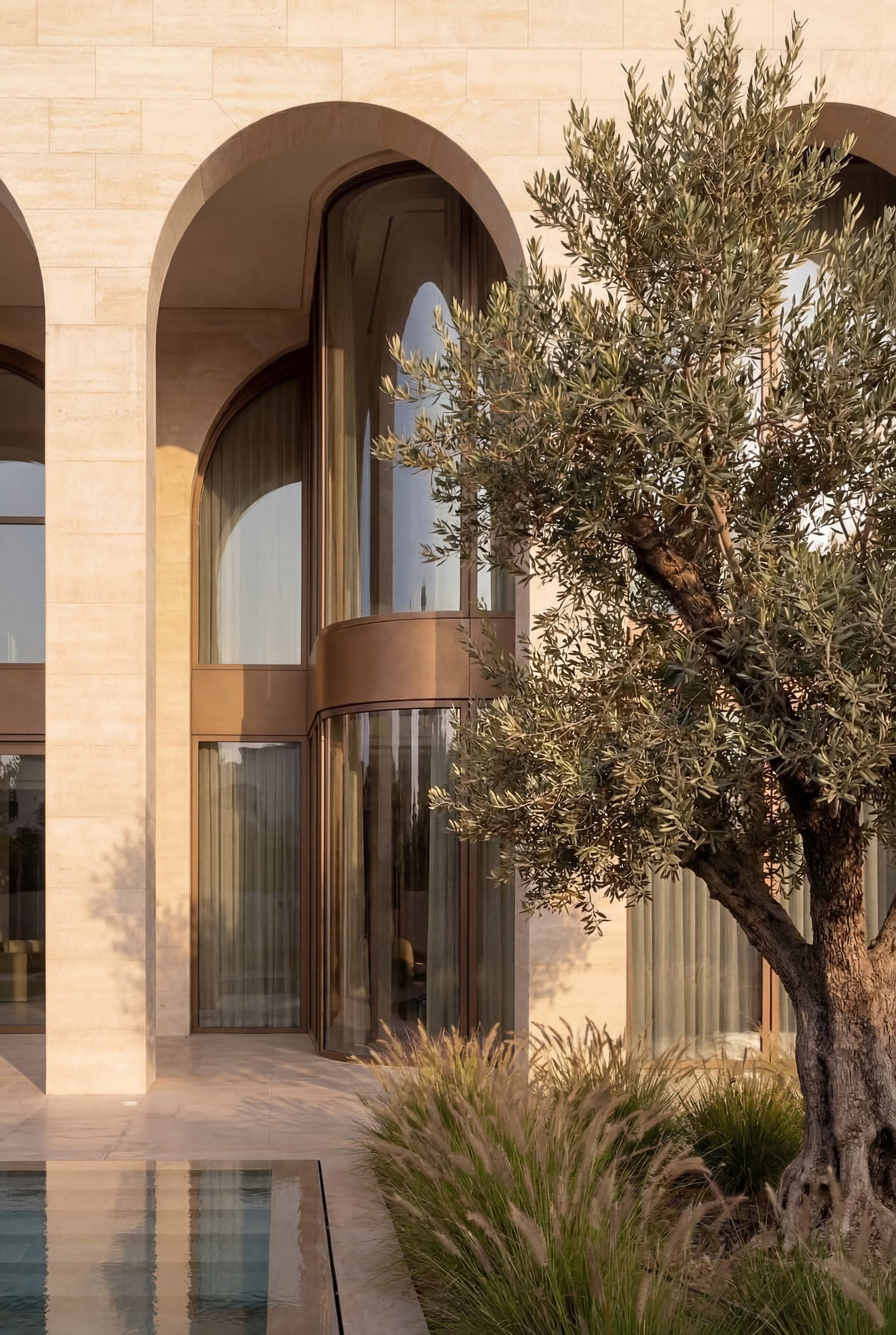 Design visualisation of an olive tree before a glazed arch, the travertine lit by the low sun, by LKYOOB