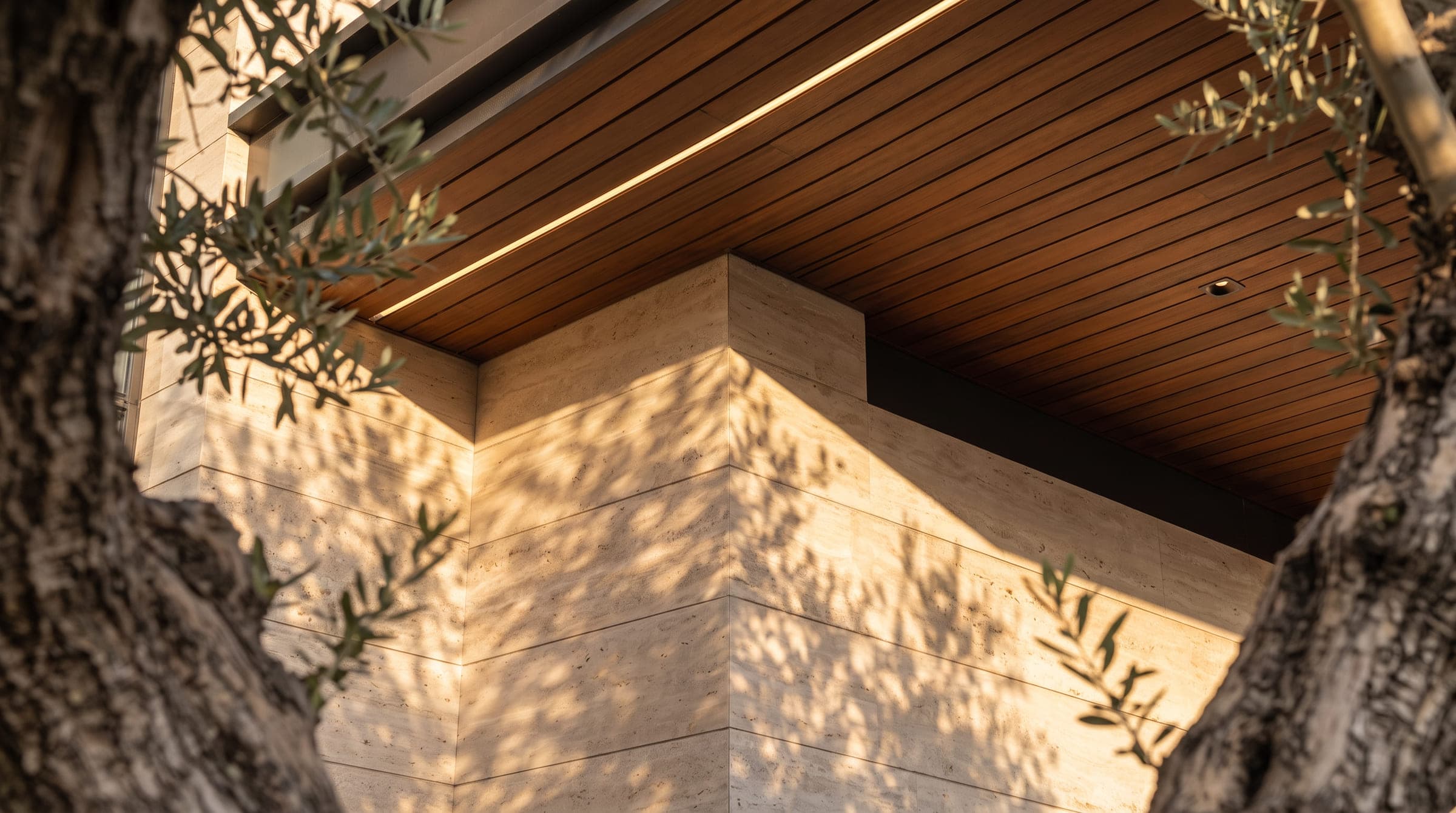 Design visualisation of a travertine corner under the timber soffit, seen through the branches of an olive tree, by LKYOOB